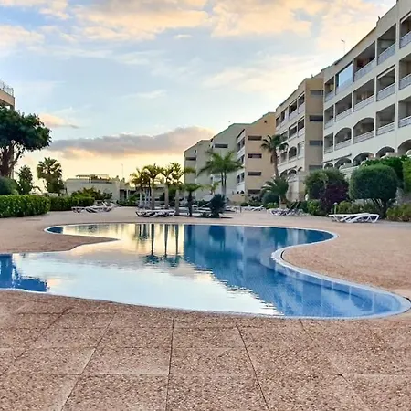 Ocean View In Mar, Pool, Wi-fi بالم مار